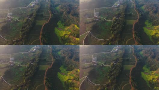 美丽的鸟瞰图的茶叶梯田在中国四川的春天高清在线视频素材下载
