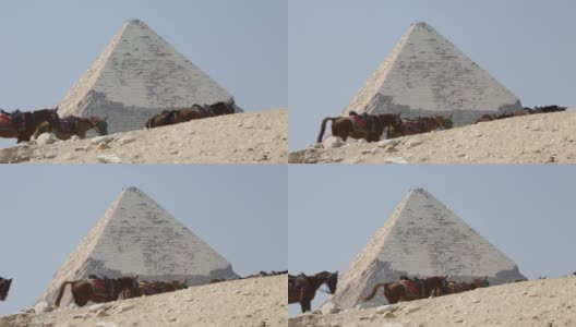 马匹经过埃及金字塔高清在线视频素材下载