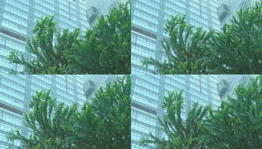 城市办公楼绿树成荫高清在线视频素材下载
