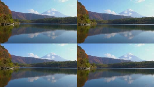 美丽的富士山与枫树在秋天的日本高清在线视频素材下载