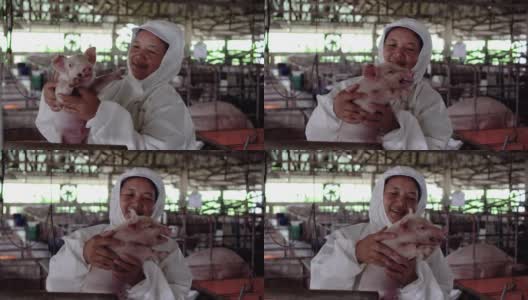 4k视频拍摄亚洲兽医在工厂化养猪场照顾和抱着一头幼猪的场景，家畜和家畜概念高清在线视频素材下载