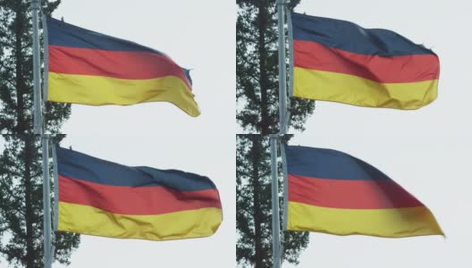 慢动作拍摄的德国国旗在风吹松树在一个阳光明媚的日子高清在线视频素材下载