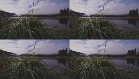 蒙大拿天鹅湖的秋景，雨后雾霭消散高清在线视频素材下载