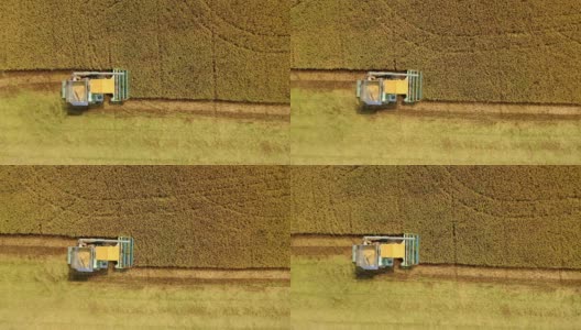 鸟瞰图联合收割机在稻田中的作业。高清在线视频素材下载
