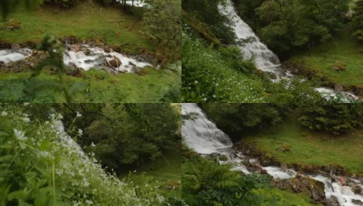 Gudvangen-Naeroyfjorden,挪威。野花盛开在瀑布丛佛森在春天。塔夫特弗森是塔夫特尔维河上的瀑布。挪威的地标和热门目的地高清在线视频素材下载