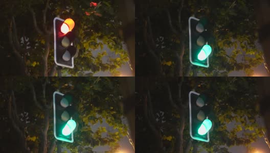 夜晚的红绿灯在中国上海市中心，交通和城市生活高清在线视频素材下载