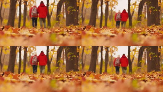 特写镜头是一个人穿着靴子在秋天的森林里走在黄叶上。高清在线视频素材下载