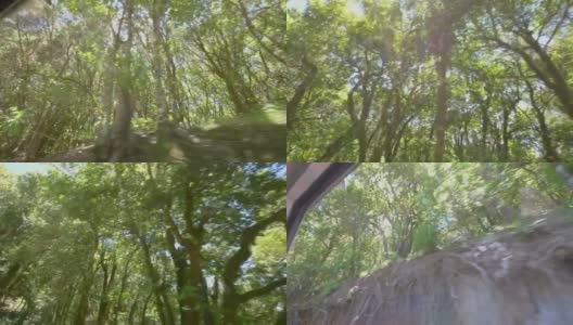 以180帧/秒的慢动作从车窗中看到森林高清在线视频素材下载