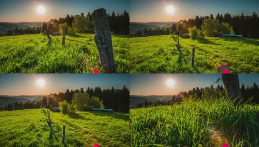 鹤:日出时的乡村景观-德国高清在线视频素材下载
