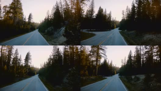 令人惊叹的观点，汽车移动在美丽的日落森林道路，阳光照耀松树之间的优胜美地慢镜头。高清在线视频素材下载