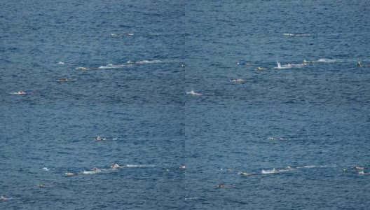 慢动作游泳运动员在开放水域在热带，圣约翰，维尔京群岛高清在线视频素材下载