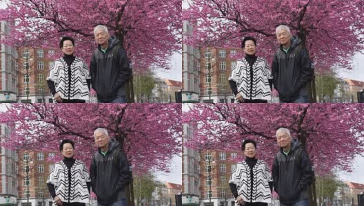 年老的亚洲老夫妇高兴地享受他们的樱花之旅高清在线视频素材下载