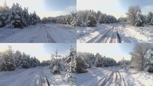 航拍冬雪针叶林的圣诞森林高清在线视频素材下载