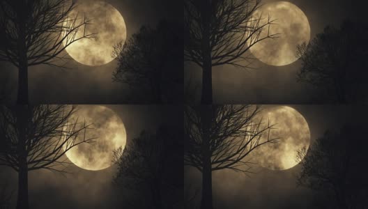 无缝循环幽灵月亮背景。树的轮廓。大满月的特写。时间流逝。夜空高清在线视频素材下载