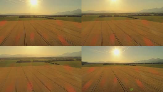 空中、眩晕效应:丘陵景观中农田的黄色和绿色高清在线视频素材下载