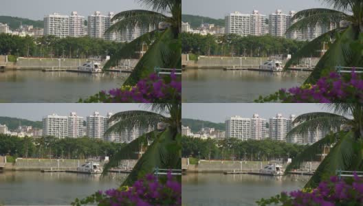 白天时间三亚市湾游艇码头大桥慢镜头全景4k中国海南高清在线视频素材下载