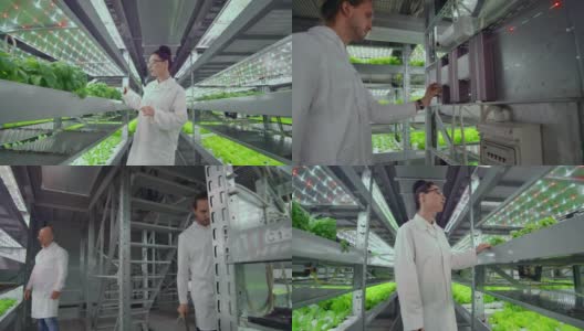 摄像机在一个现代化农场的货架上沿着走廊移动，一组科学家和农民监督着空间站的工作高清在线视频素材下载