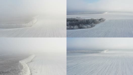 黎明时分，在雾蒙蒙的天气里，白雪覆盖了田野。高清在线视频素材下载