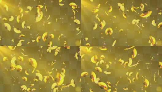 金色日本折扇颗粒循环动画高清在线视频素材下载