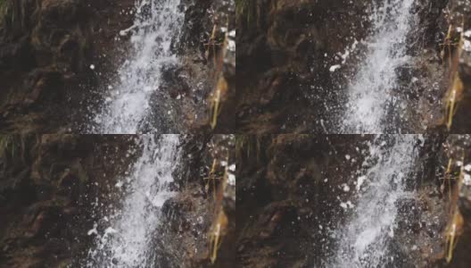 阳光下的淡水从山间小溪流淌而下高清在线视频素材下载
