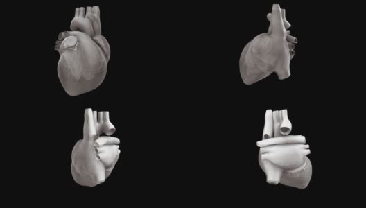 黑色背景上的心脏模型高清在线视频素材下载