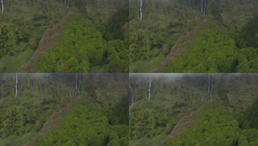 翠绿的森林，瀑布的溪流，陡峭的山顶上的云。费雷罗，弗洛雷斯，亚速尔群岛的航拍高清在线视频素材下载