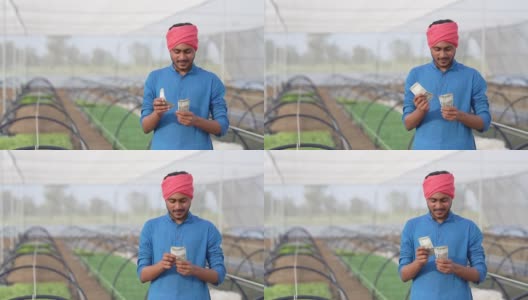 年轻的印度农民在温室里数钱高清在线视频素材下载