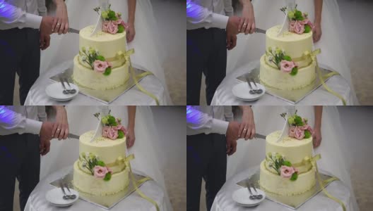 特写，新娘和新郎用大刀切婚礼蛋糕高清在线视频素材下载
