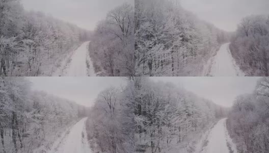 通往结霜森林的路高清在线视频素材下载