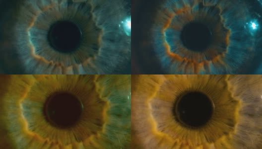 眼睛虹膜和瞳孔微距。多种色彩校正选项高清在线视频素材下载