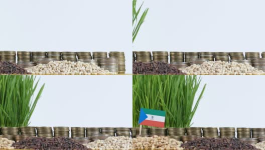 赤道几内亚国旗飘扬着成堆的钱币和小麦高清在线视频素材下载