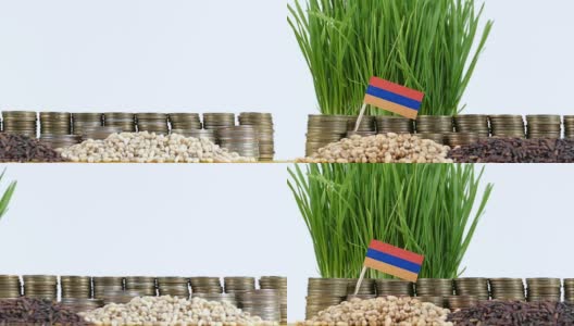 亚美尼亚国旗上飘扬着成堆的钱币和小麦高清在线视频素材下载