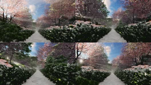 美丽的花园在冬天与阳光透过樱花树，4K高清在线视频素材下载