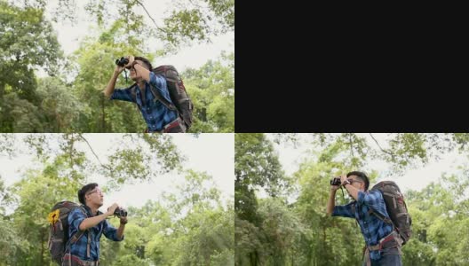 观鸟。兴奋的年轻人观鸟者使用双目镜在热带雨林的背景。泰国清迈。高清在线视频素材下载