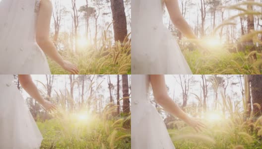 SLO MO女人的手触摸草花在日落。高清在线视频素材下载