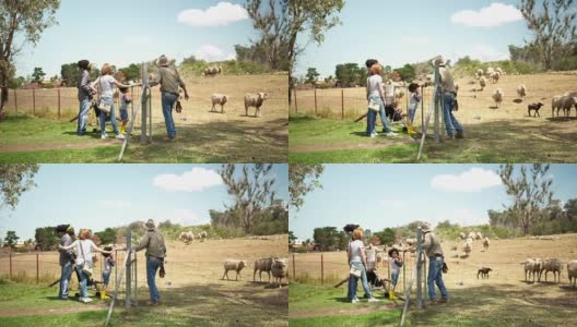 农场工人向一家人展示他的羊高清在线视频素材下载