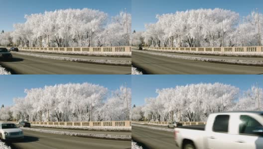桥边结霜的树木高清在线视频素材下载