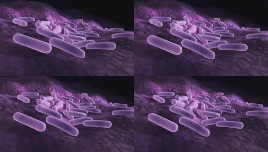 细菌躺在表面上，微观3d渲染动画高清在线视频素材下载