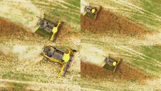Aerial view of combine harvester working on field.高清在线视频素材下载