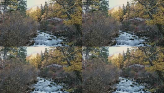 美丽的瀑布流动在秋天的森林与山的背后的背景高清在线视频素材下载