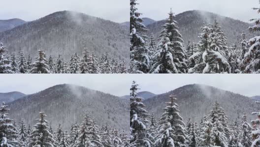 鸟瞰图:冬季森林。白雪覆盖的树枝在冬天的森林里。冬天的风景，森林，树木覆盖着霜，雪。航拍，冬季的山林。滑雪胜地高清在线视频素材下载