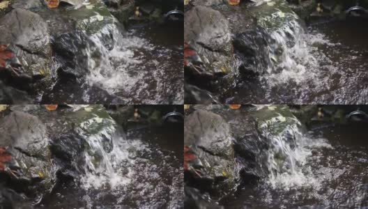 森林景观中的河流瀑布高清在线视频素材下载