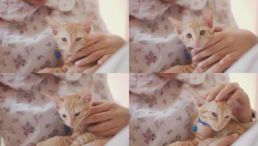 亚洲女人在新家拥抱和亲吻小猫。领养流浪猫的概念有了一个新的主人，爱和可以照顾他们。4 k慢动作。高清在线视频素材下载