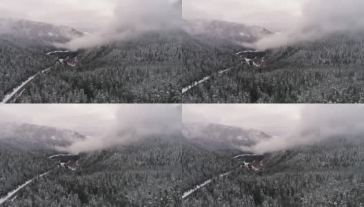 华盛顿高速公路2山森林雪景直升机高清在线视频素材下载