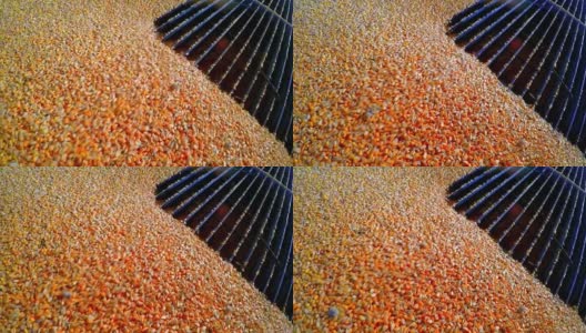 玉米乙醇加工厂升降机装载玉米谷物高清在线视频素材下载