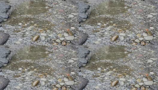 一股雨水从岩石中流过高清在线视频素材下载