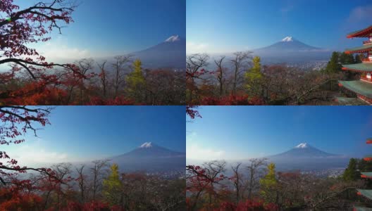 美丽的富士山与枫树在秋天的日本高清在线视频素材下载