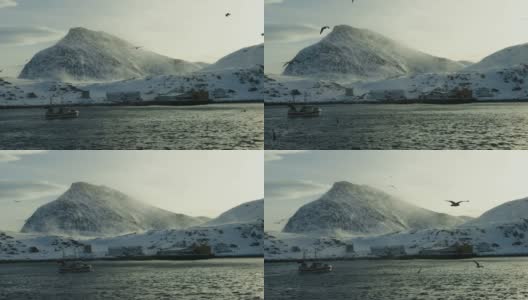 在北冰洋钓鳕鱼高清在线视频素材下载