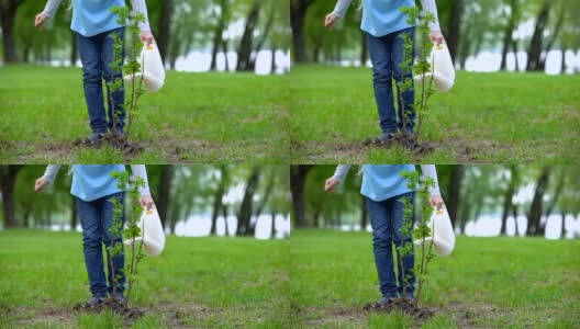 女幼童浇灌幼林，保护自然资源，保护生态高清在线视频素材下载