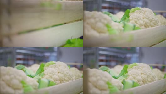完美的白色花椰菜装在木箱里高清在线视频素材下载